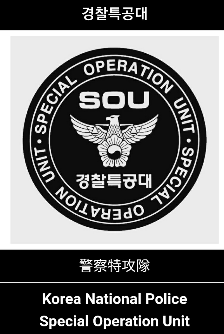 대한민국 특수임무부대들중 최고를 가릴수 있나요? | 인스티즈