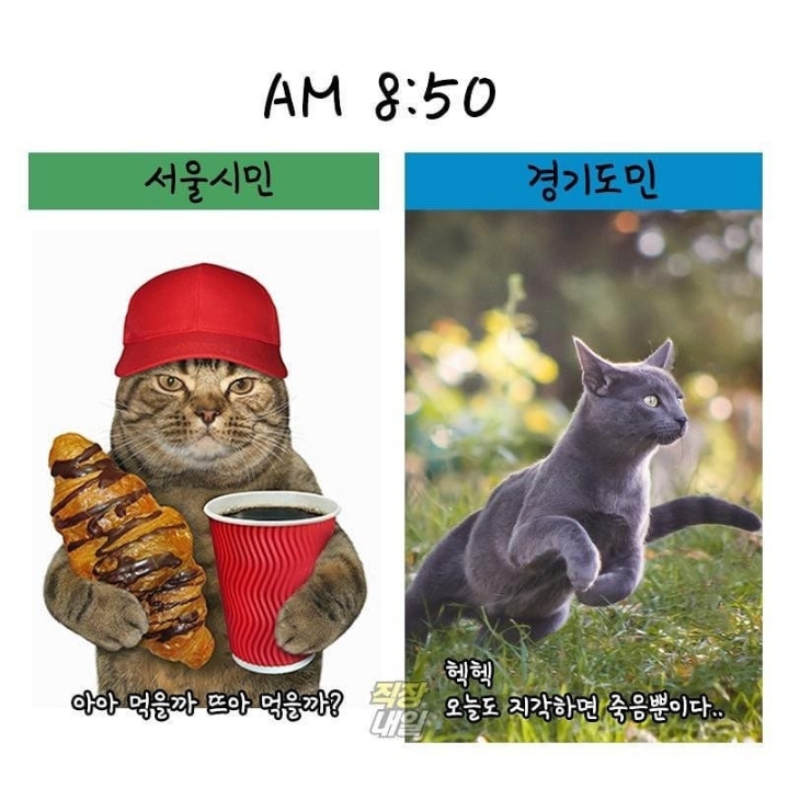 서울시민 vs 경기도민 | 인스티즈