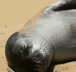 자는척 하는거다 vs 진짜 자는거다 | 인스티즈