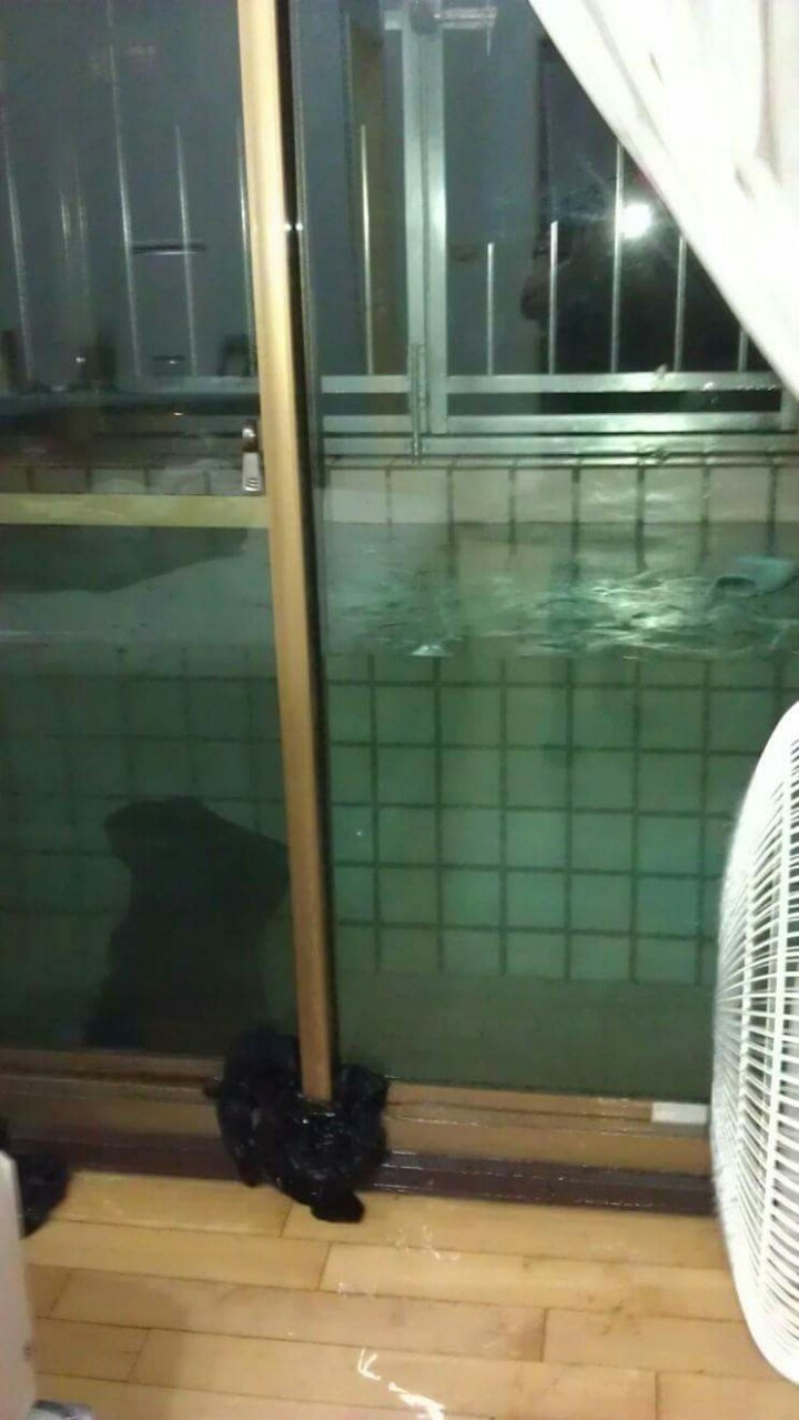 집에서 수영 즐기는 법 | 인스티즈