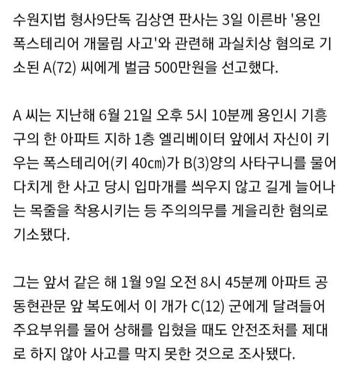 용인 폭스테리어 개물림 사고 견주 벌금 500만원 선고받아 | 인스티즈