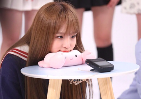 아이즈원) 기자들이 햇갈려하는 유리 예나 채원 | 인스티즈