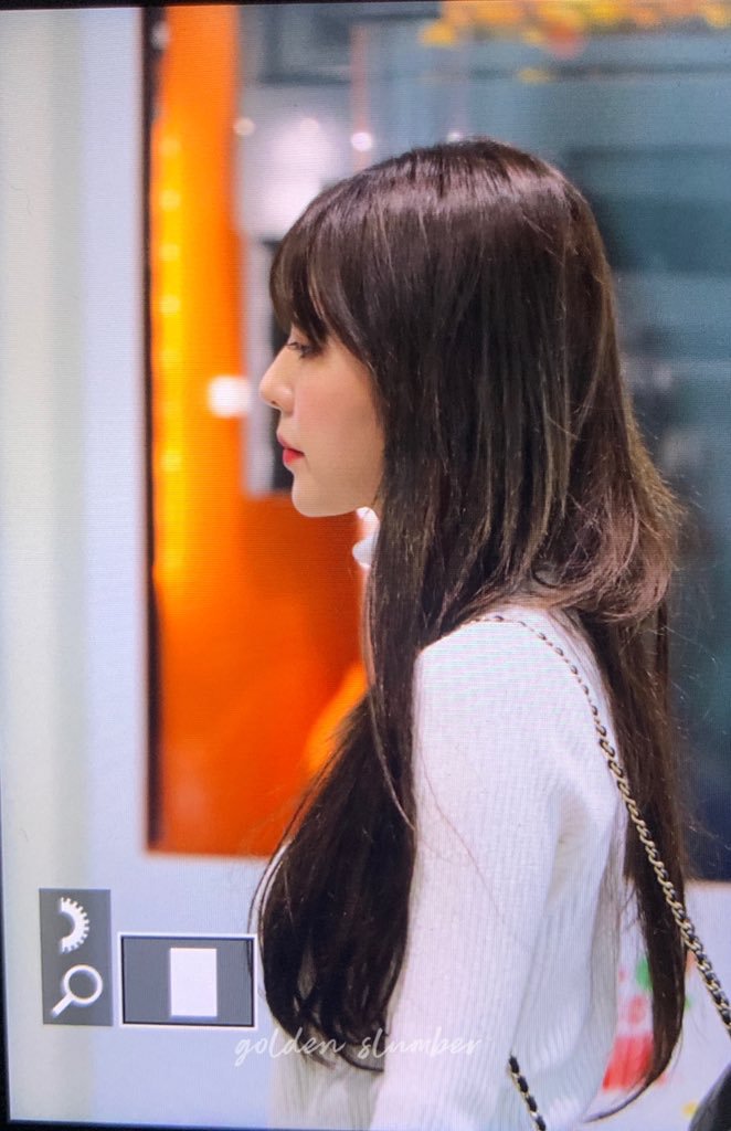 우연히(?) 다미아니 CEO와 사진찍고 파리로 이동한 레드벨벳 아이린 | 인스티즈