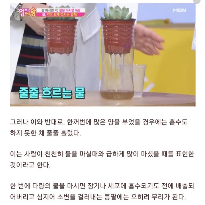 물 마실때 주의해야 하는 거... | 인스티즈