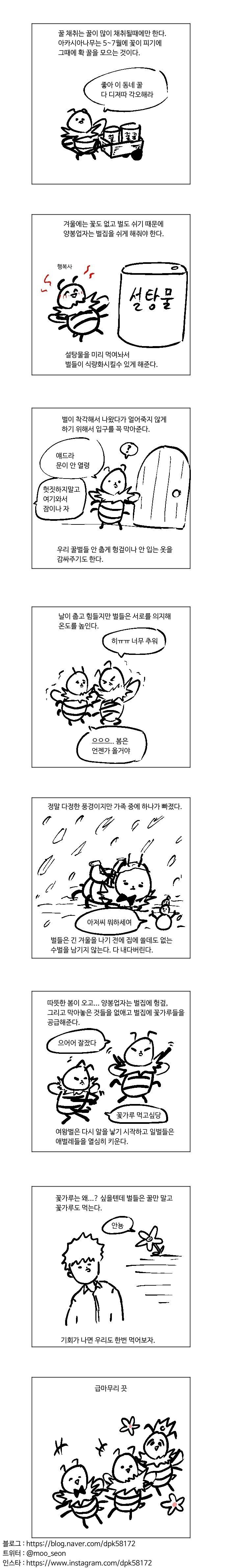 신나는 양봉이야기 만화 | 인스티즈