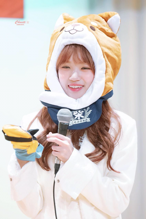 아이즈원) 시바쌈무 고화질 | 인스티즈