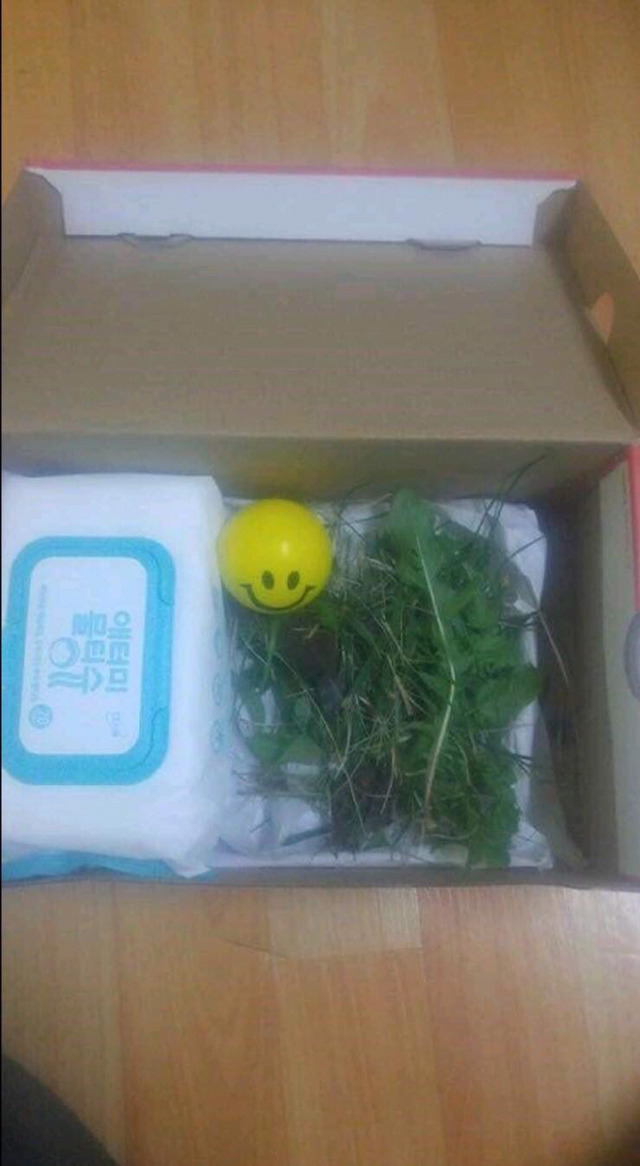 중고로운 평화나라 레전드 모음.jpg | 인스티즈