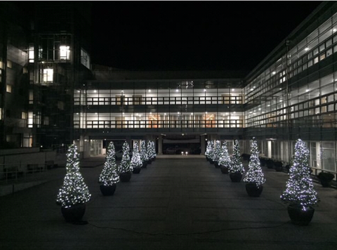 2019년 첫 서울대학교 법학전문대학원 | 인스티즈