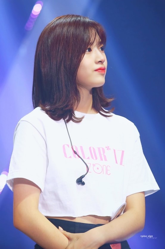 아이즈원 대형견 안댕댕.jpgif | 인스티즈