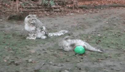 아빠한테 애를 맡기면 안되는 이유 | 인스티즈