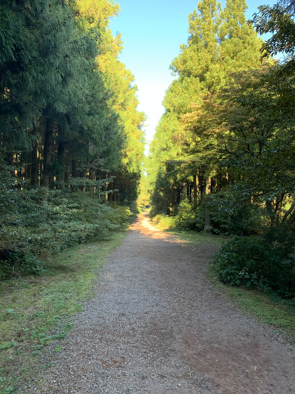 제주도 여행 마지막 날.. | 인스티즈
