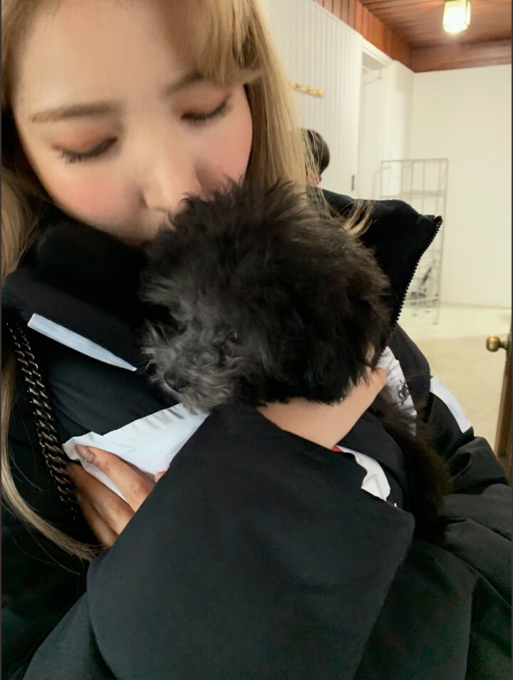 여자친구 일본 공식 트위터 쇠💖먼지 | 인스티즈