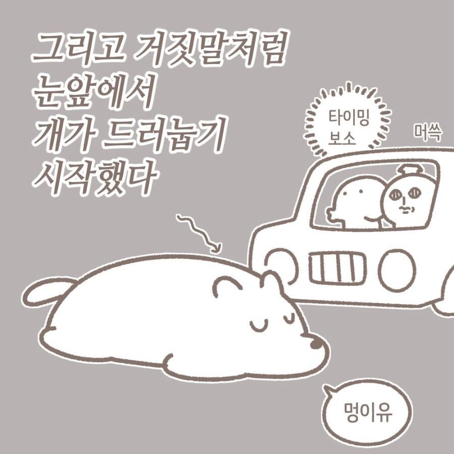 충청도 사람들은 사실 느리지 않은 만화...manhwa | 인스티즈