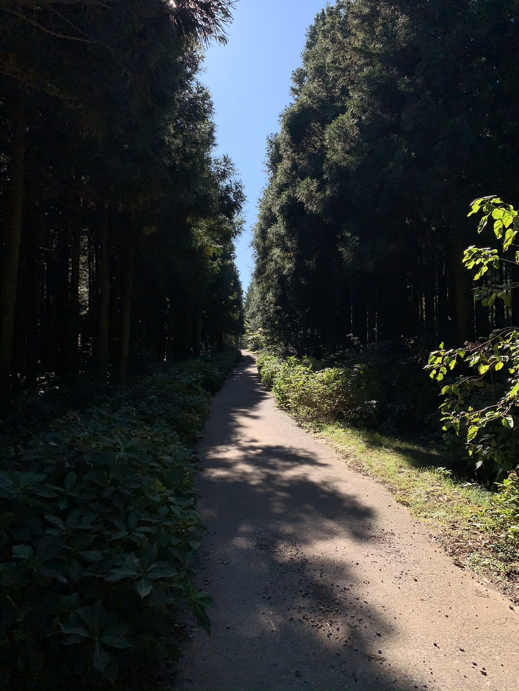 제주도 여행 마지막 날.. | 인스티즈