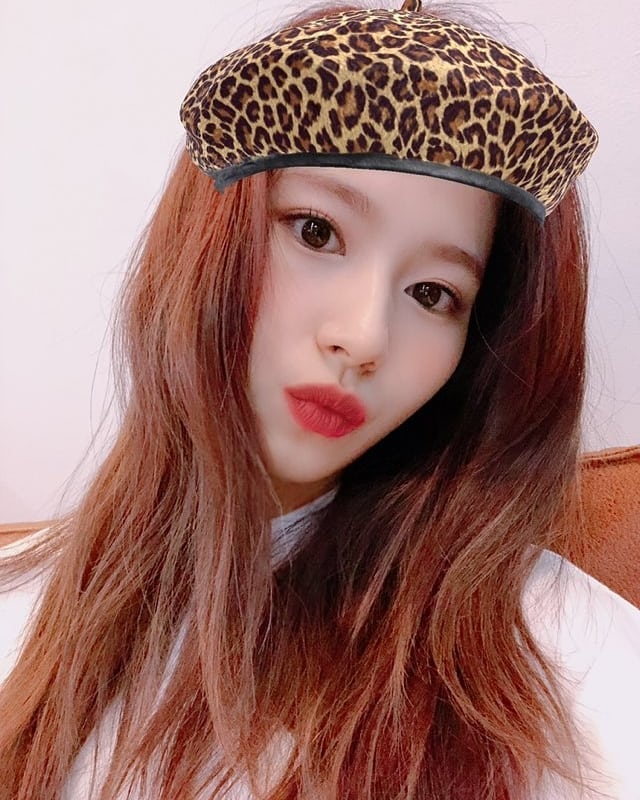 트와이스 사나 인스타그램 | 인스티즈