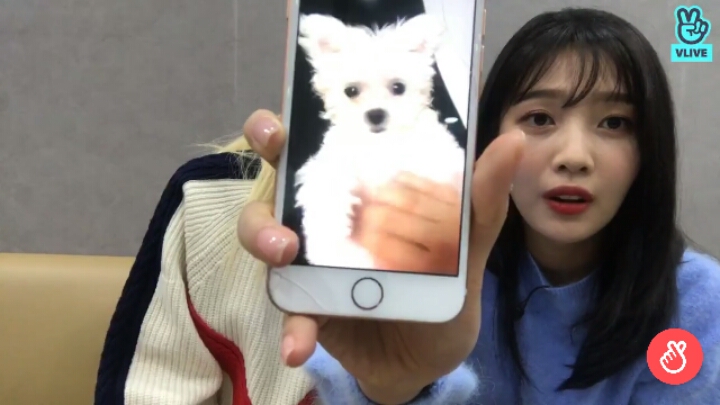 맑음이(레드벨벳 조이)와 햇님이 | 인스티즈