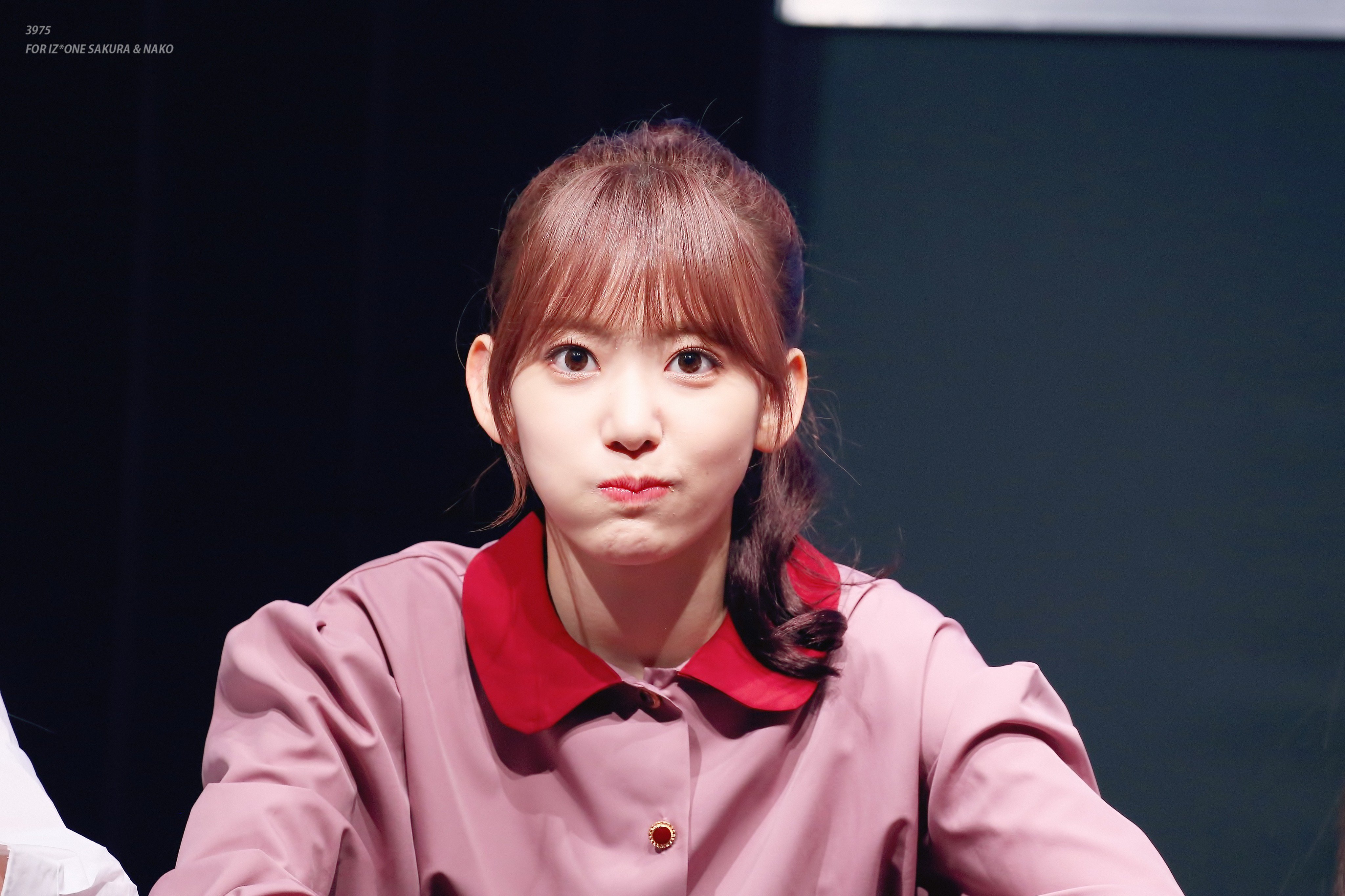 포니테일이 잘어울리는 아이즈원 사쿠라.jpg | 인스티즈