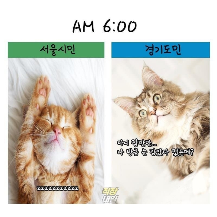 서울시민 vs 경기도민 | 인스티즈