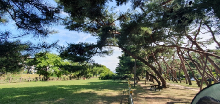 갤럭시 10이 보는 제천 | 인스티즈