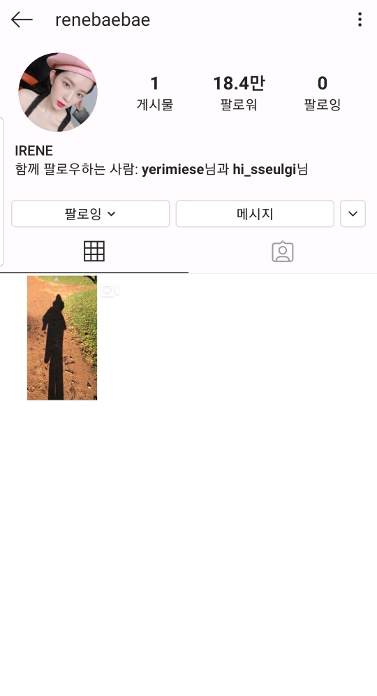 다시 복구된 아이린 인스타그램 | 인스티즈