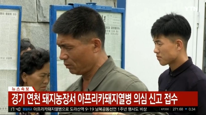 경기 연천 아프리카돼지열병 의심 신고 접수 | 인스티즈