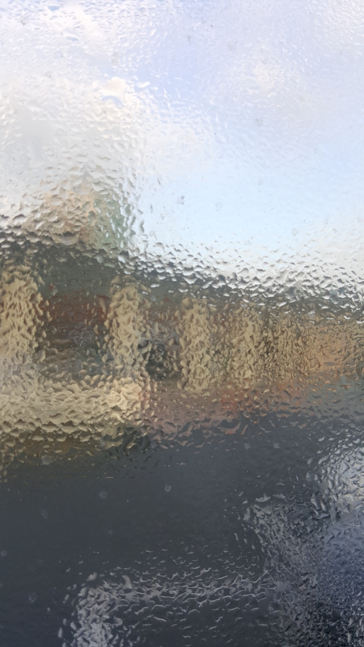 아래에 너무 멋진 사진이 있어서 저도 아무 사진 올려봄 (정말 아무 사진 주의) | 인스티즈