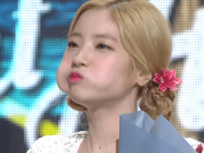 얼음먹는 트와이스.gif | 인스티즈