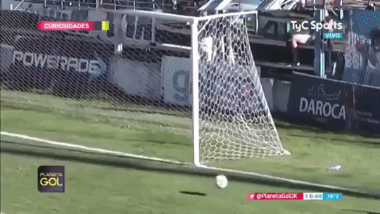 개미친 선방 ㅋㅋㅋㅋ .gif | 인스티즈