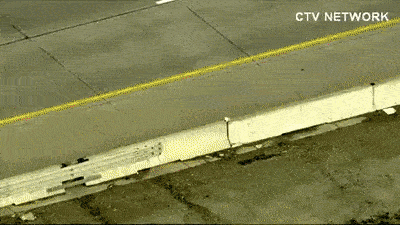 고속도로 건너는 오리가족.gif | 인스티즈