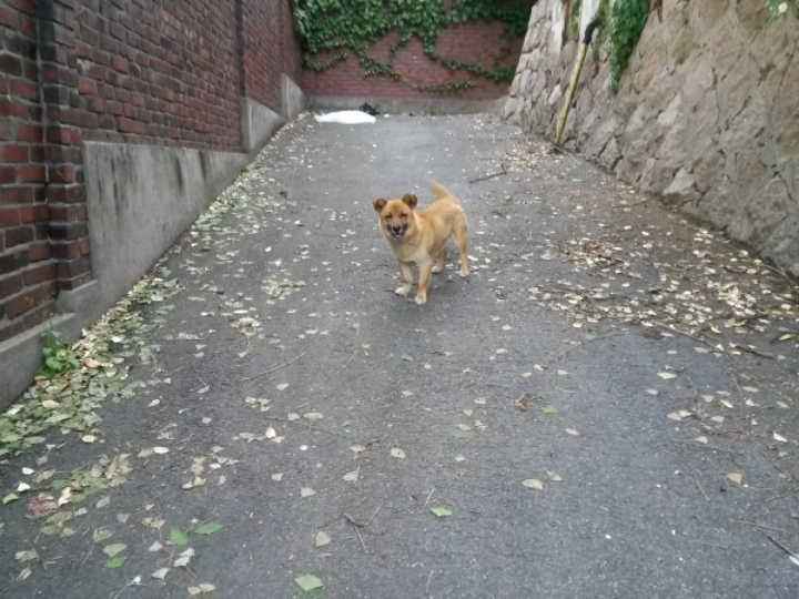 여대생의 일상.manhwa | 인스티즈