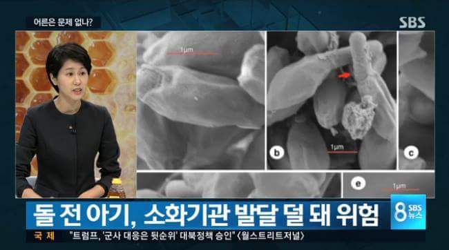 돌 전에 먹이면 안되는 음식 | 인스티즈