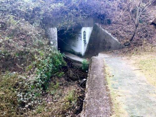 공포의 칼국수집 입구.jpg | 인스티즈