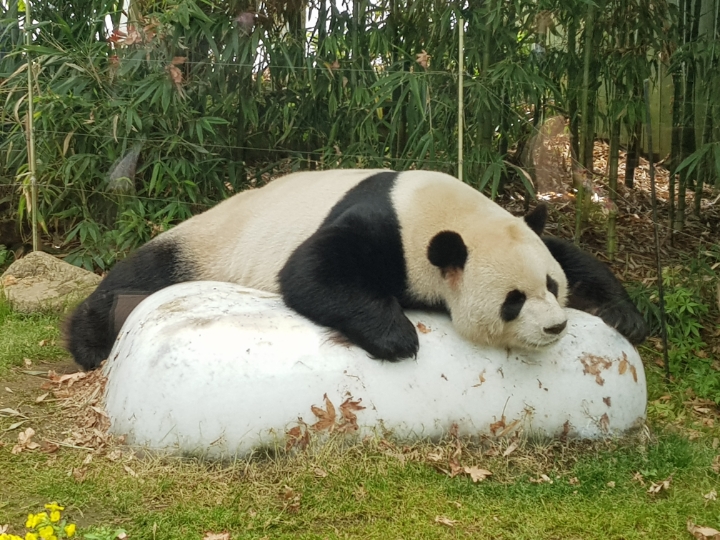 아래에 너무 멋진 사진이 있어서 저도 아무 사진 올려봄 (정말 아무 사진 주의) | 인스티즈