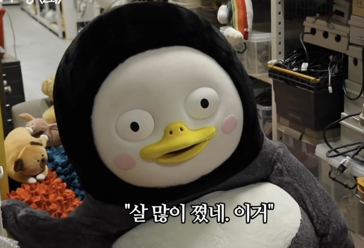  펭수 짤 모음 | 인스티즈