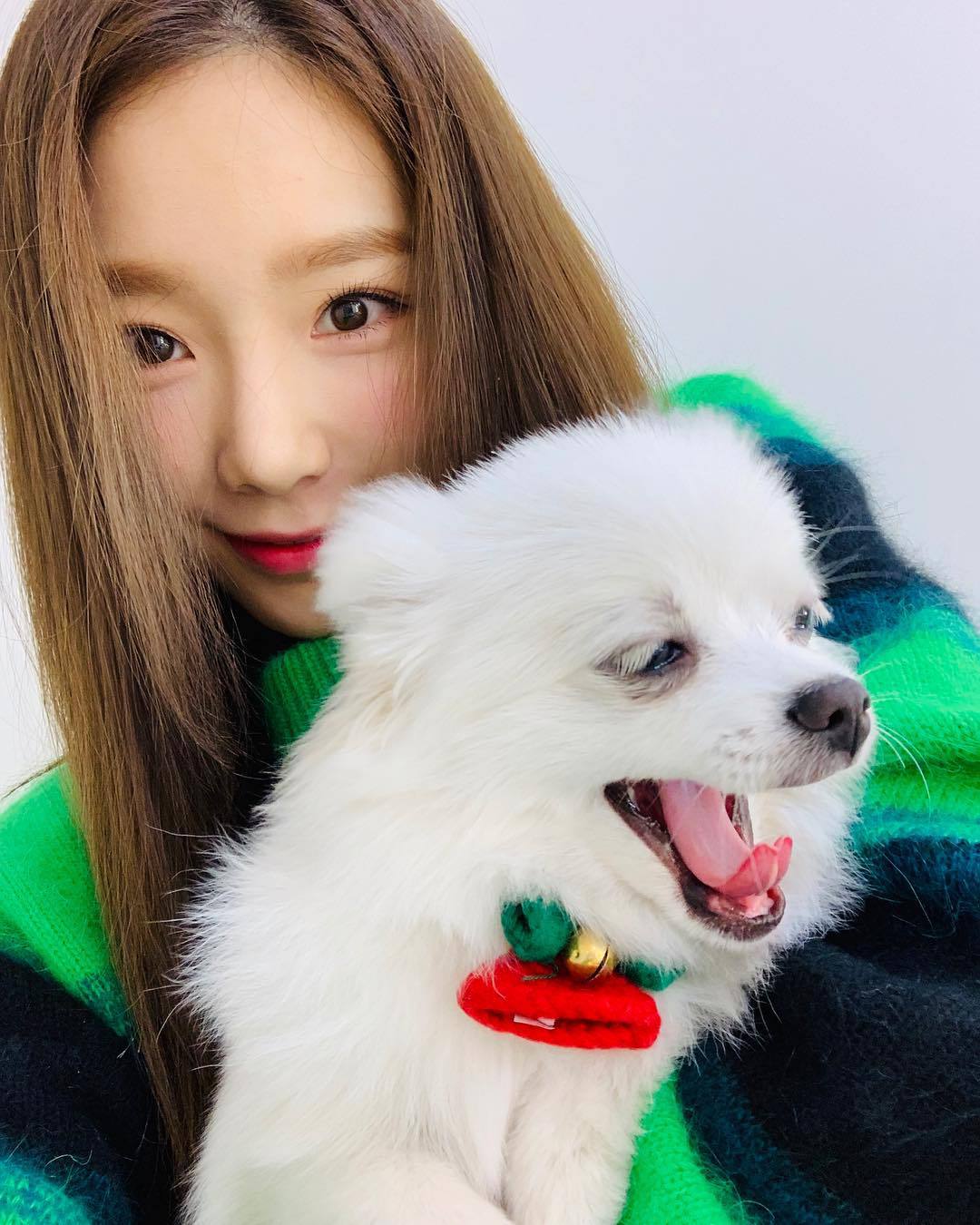 오늘자 태연 탱스타그램.jpg | 인스티즈