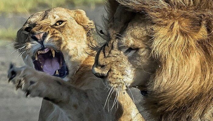 내 아들이 죽지 않고 살아있는 건 귀엽기 때문 | 인스티즈