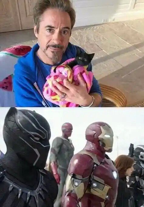 로다주가 키우는 고양이의 성장 | 인스티즈