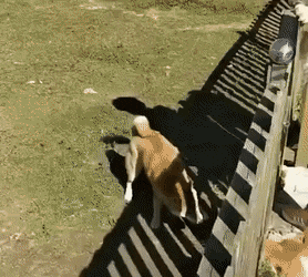 날 가둬놓을 수는 없음.gif | 인스티즈