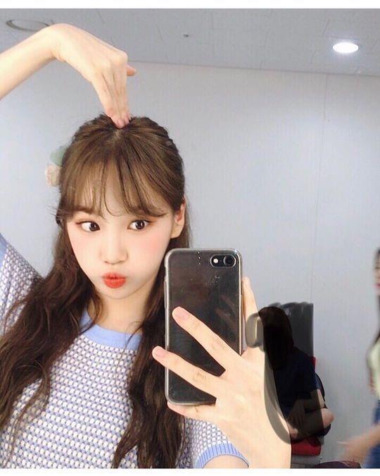 잔망미 터지는 쌈무 아이즈원 김채원.jpgif | 인스티즈