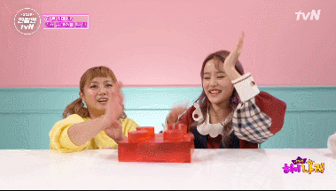 헤이지니를 당황하게 만드는 나래코기ㅋㅋㅋㅋ | 인스티즈