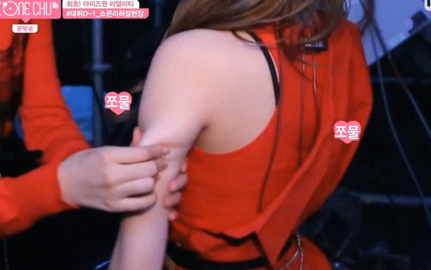 팔뚝살에 집착하는 댕댕이 | 인스티즈