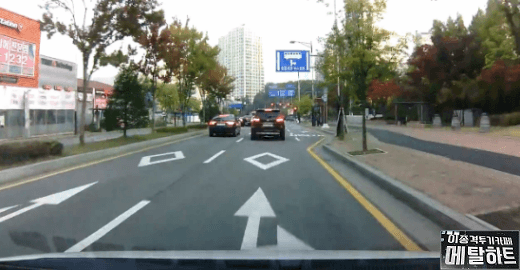 무단횡단짤 많이 올라오길래 예전에 받아놓은 무단횡단짤 업.gif | 인스티즈