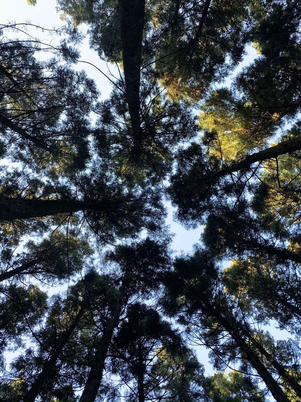 제주도 여행 마지막 날.. | 인스티즈