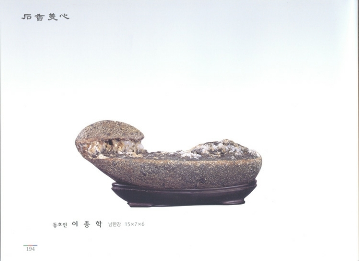 석향 이미지