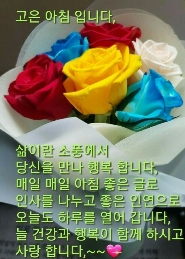 화이티 이미지