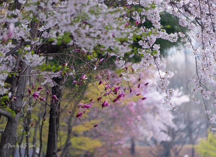 행복명상 이미지