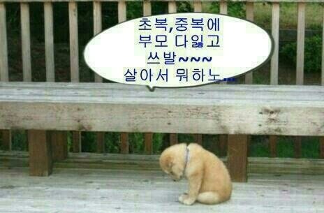 아라선 이미지