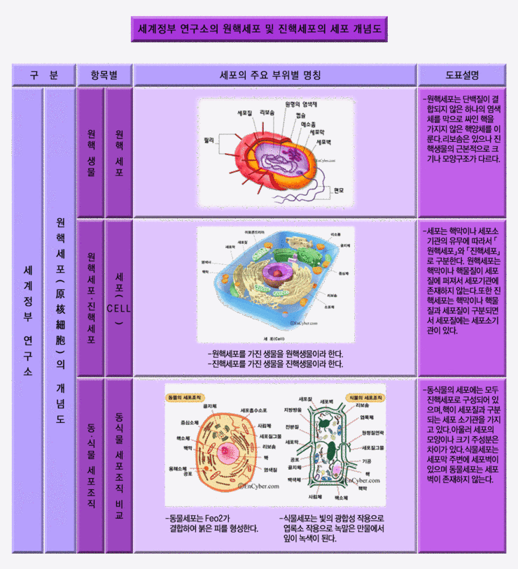 다함무역 이미지