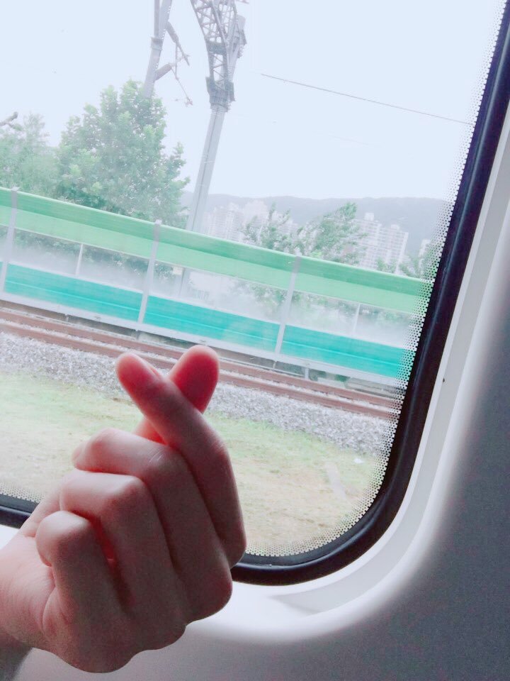 차니차니 이미지