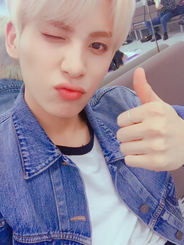 니꼬 이미지